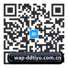 APP 安卓 二维码